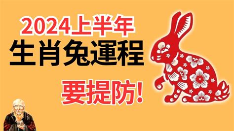 2024兔年運程1987|1987年属兔人2024年全年运势详解 37岁生肖兔2024年。